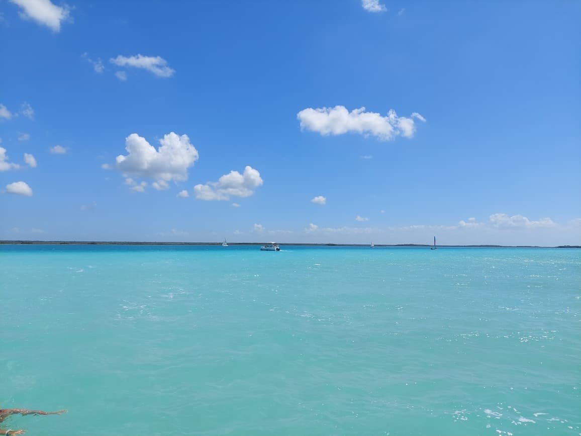bacalar 8