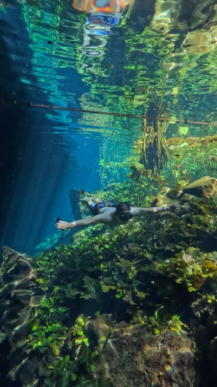 cenote nicte ha 4