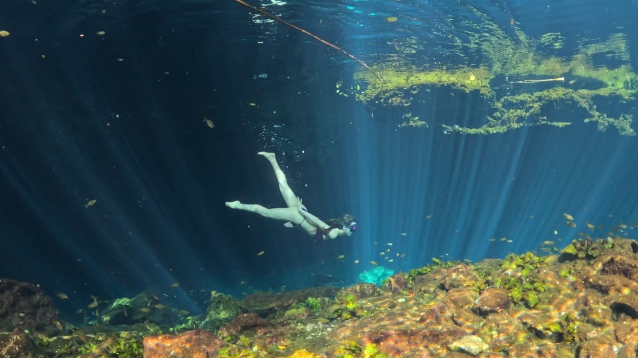 cenote nicte ha 6