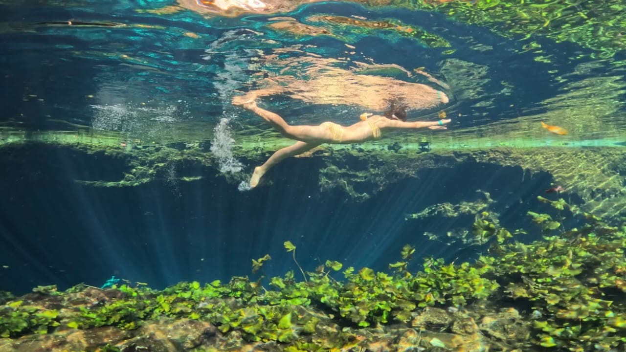 cenote nicte ha 7