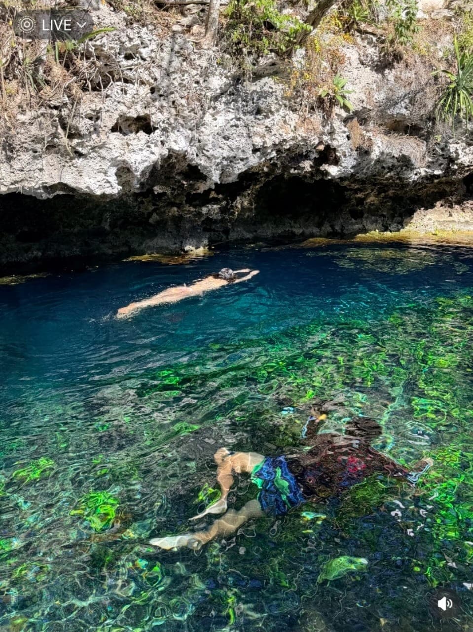 cenote nicte ha 8