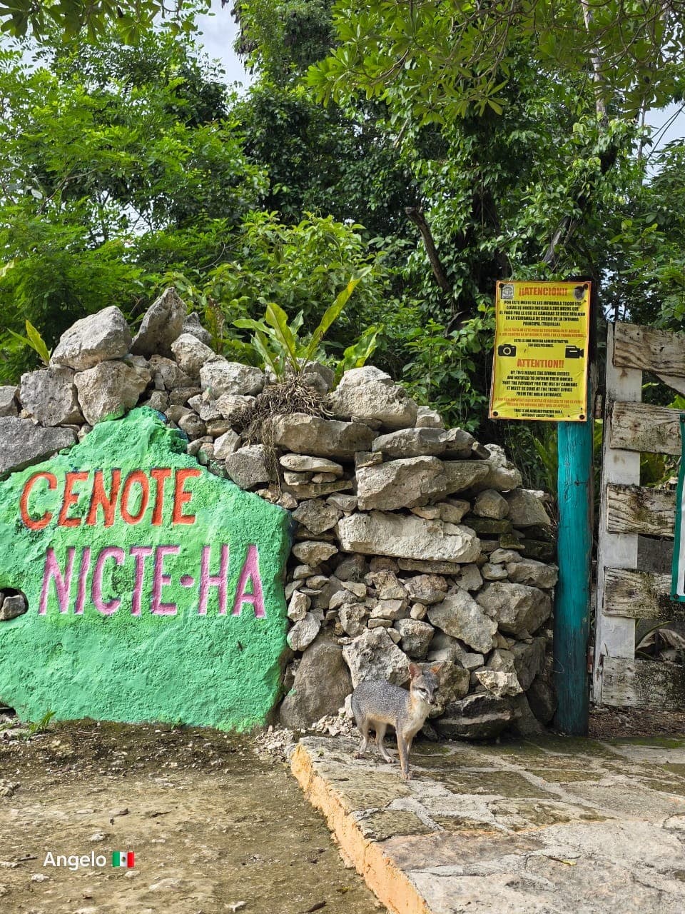 cenote nicte ha 18