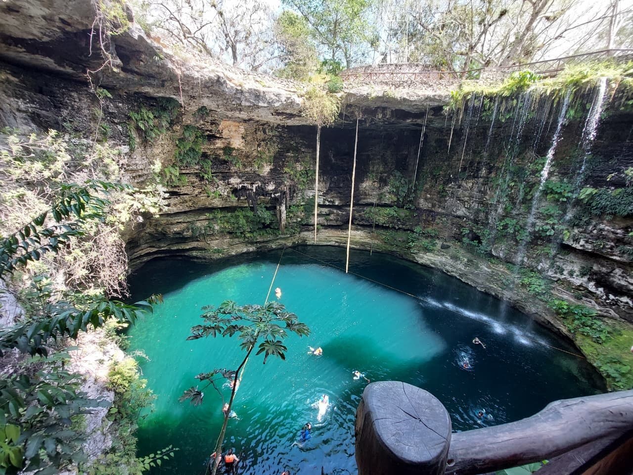 cenote selvamaya 7