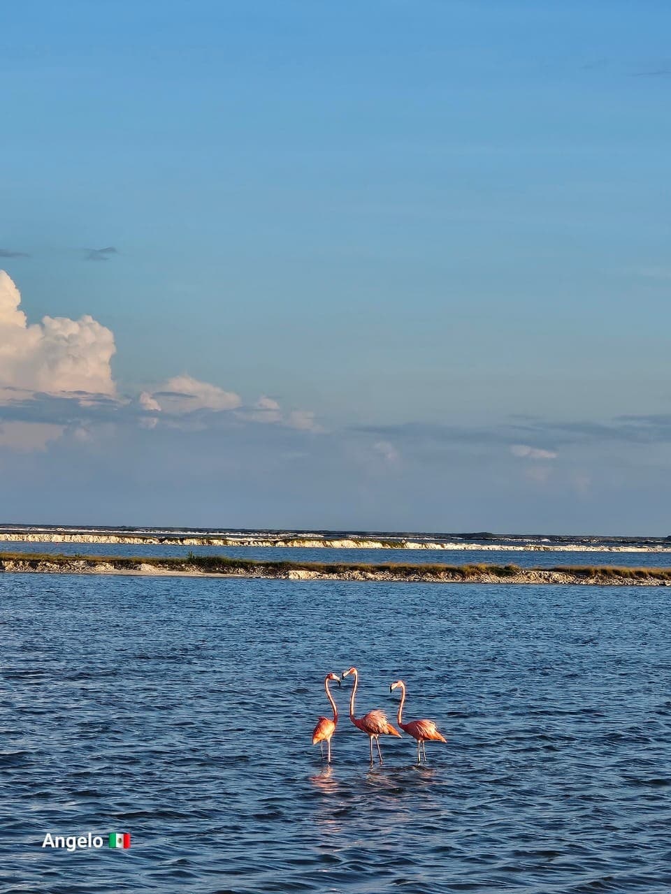 las coloradas 7