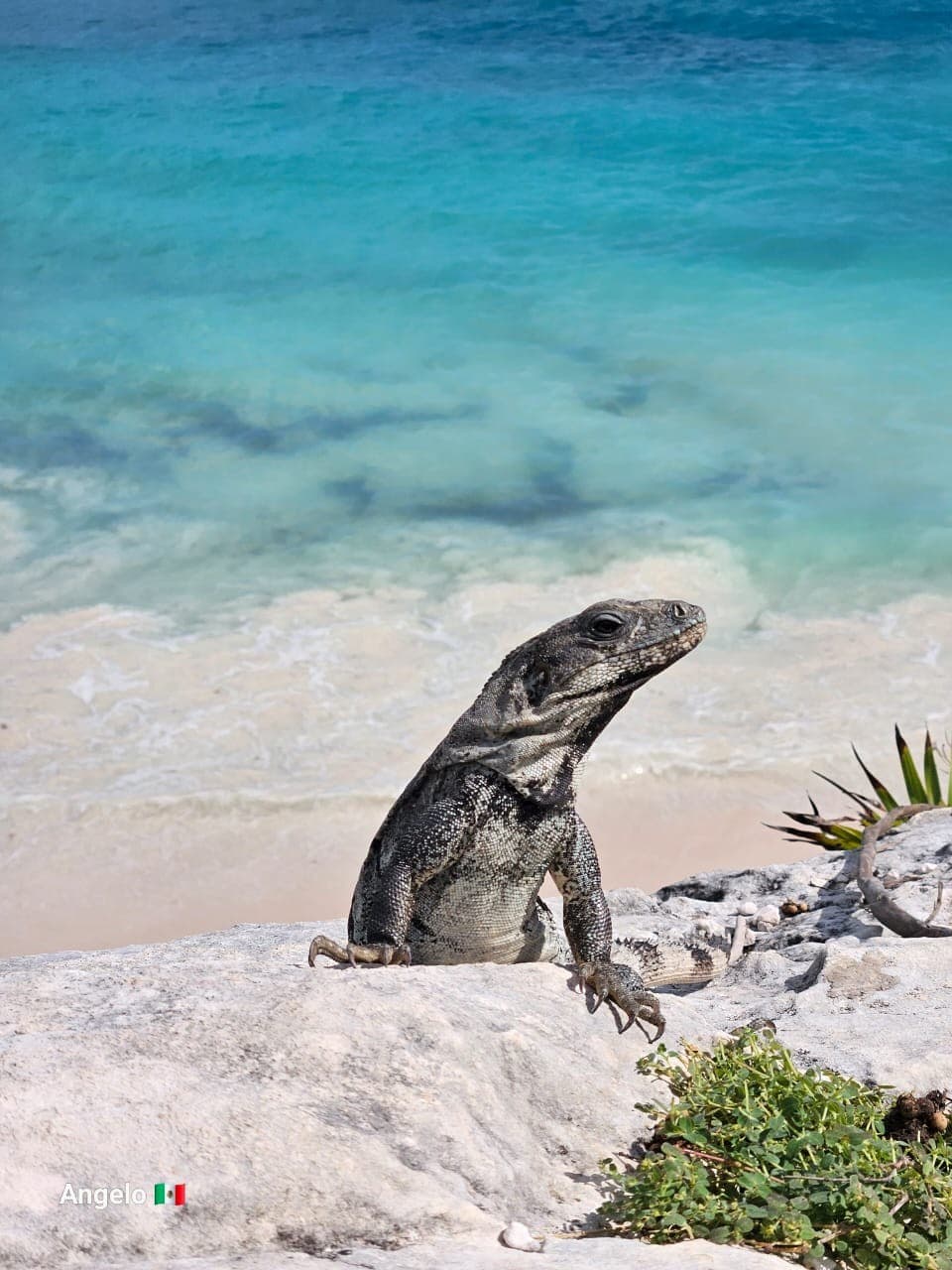 tulum 13