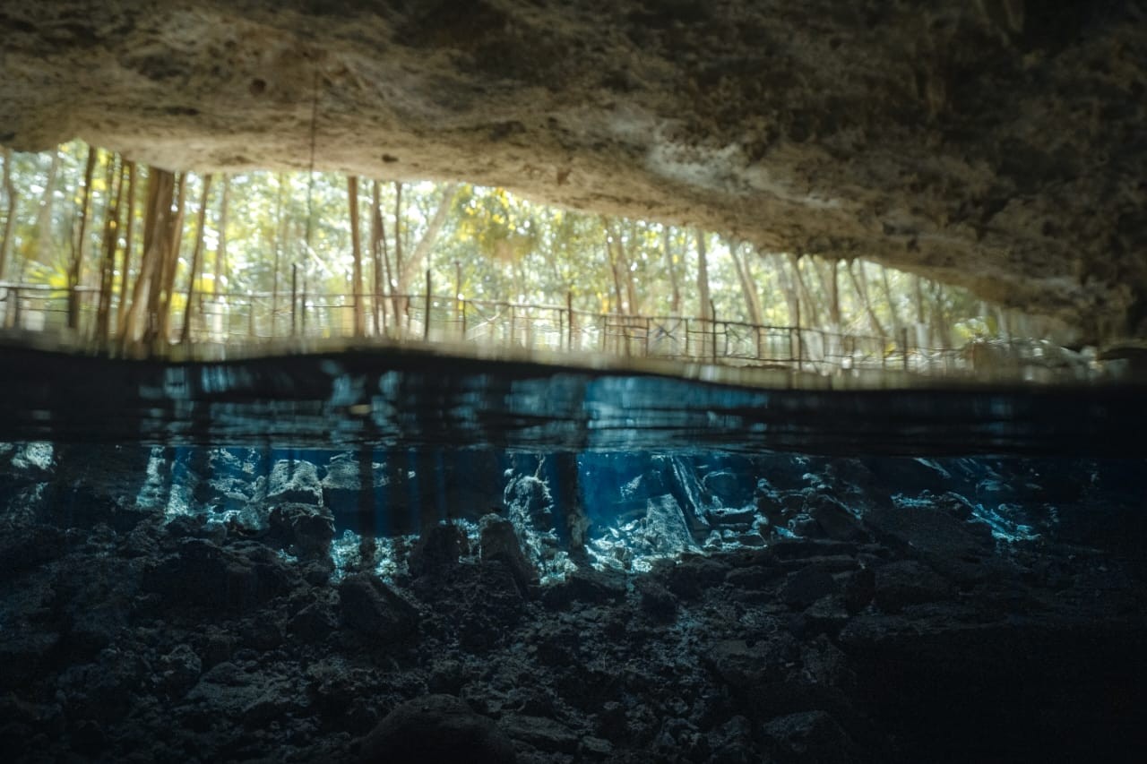 Tulum, Cenote & Turtles Tour 7