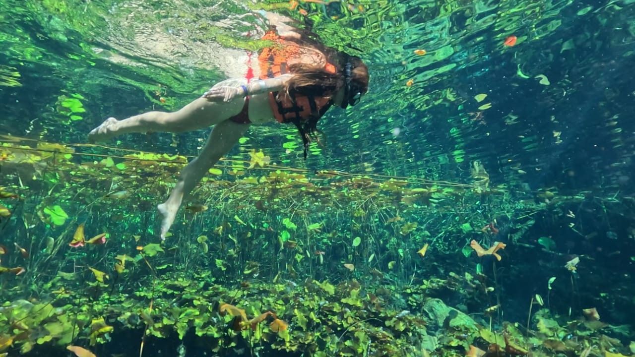 Tulum, Cenote & Turtles Tour 5